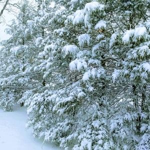 Meet your Posher, Colleen